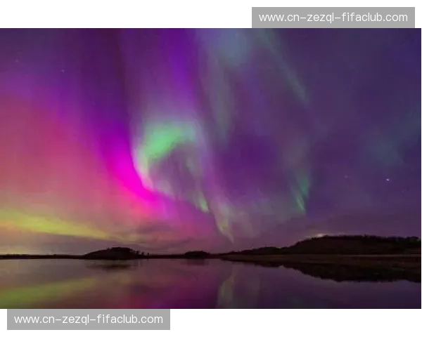 绝地速度VS京城华章：当萨克拉门托的“紫色极光”撞上华盛顿的“重生野望”